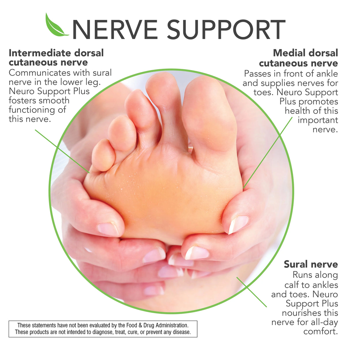 Neuro Support Plus 60 Ct F799