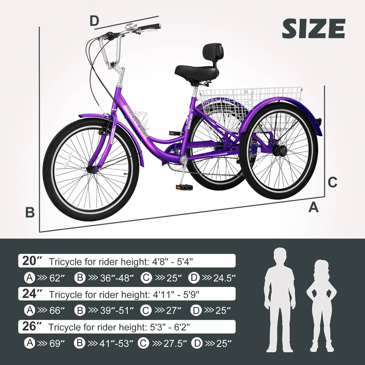 24 Tire 7 Speed 3 Wheel Adult Tricycles with Big Basket X5913