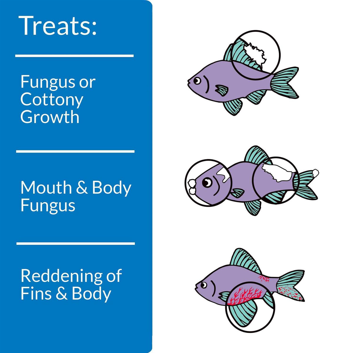 Fish Remedy Y31074