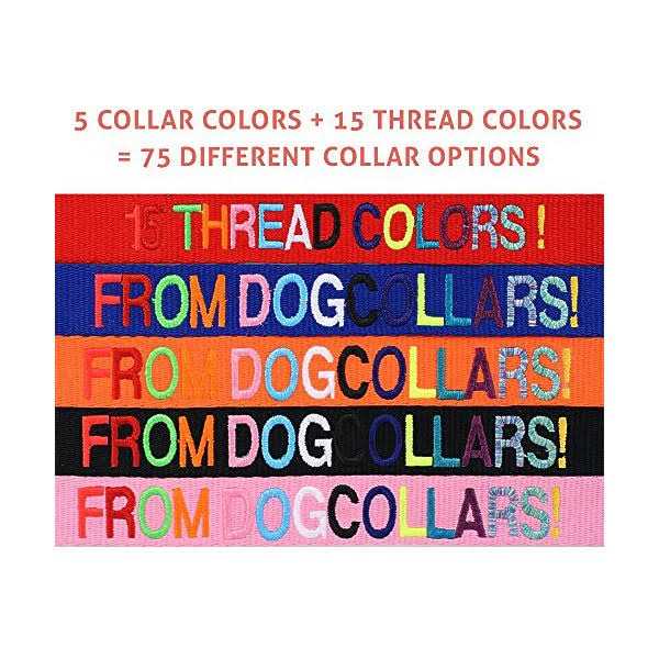 Personalized Dog Collar I348