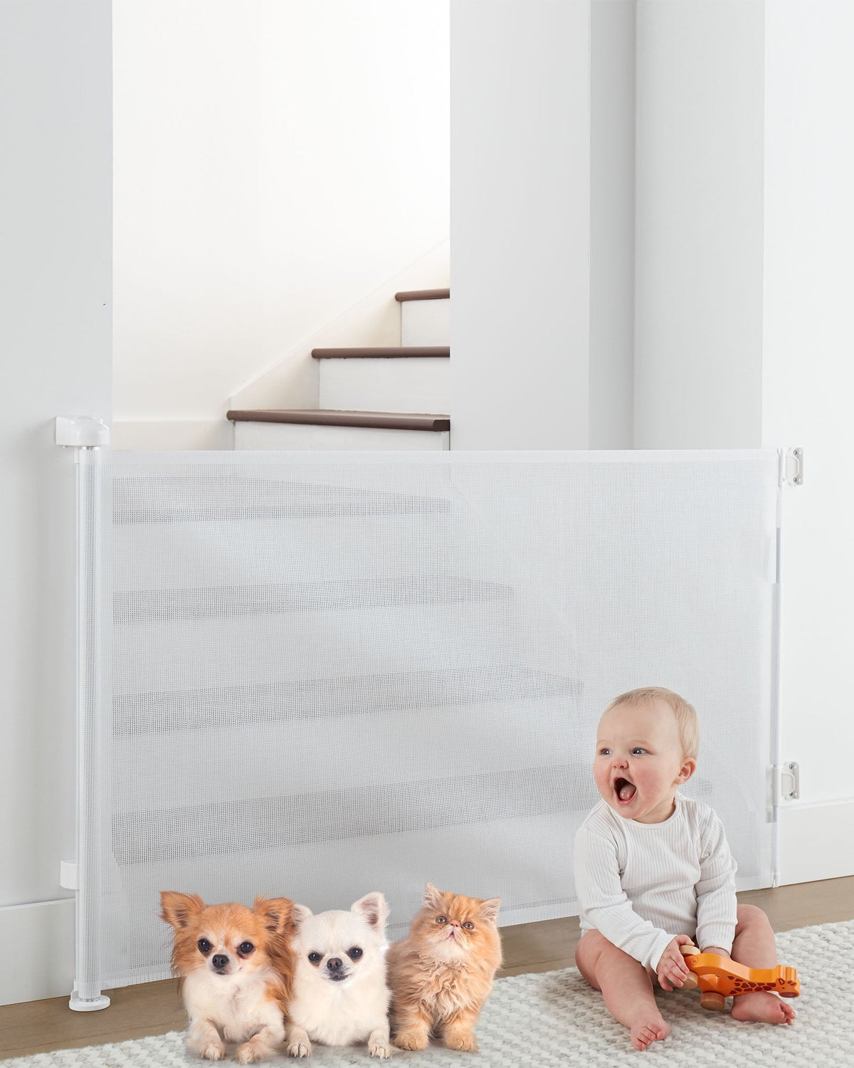 Black Retractable Mesh Pet Safety Gate J983