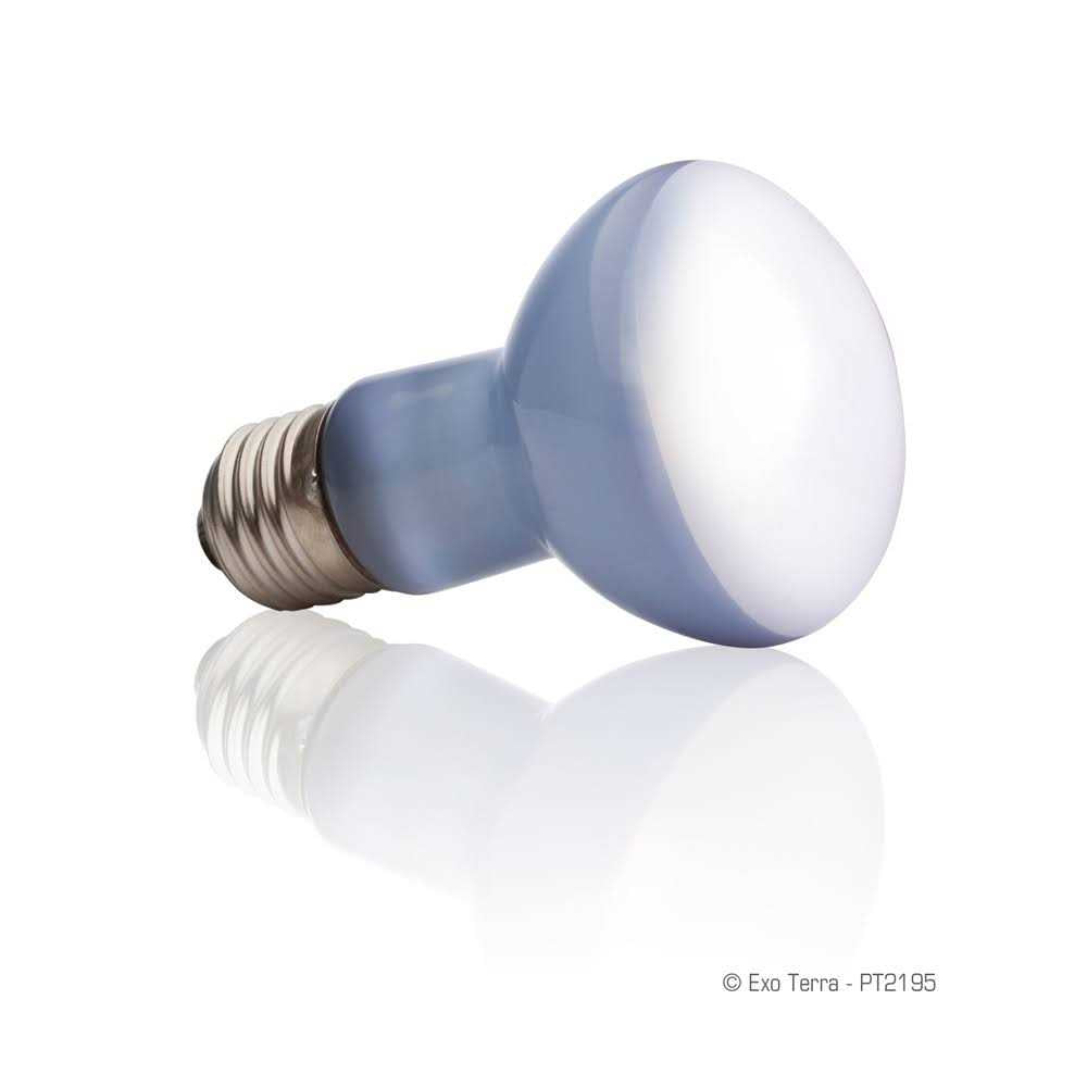 Daylight Basking Spot Lamp O3543
