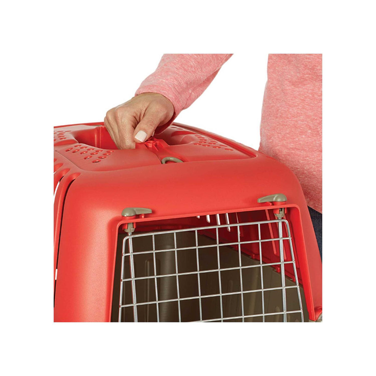 Plastic Pet Carrier N958316
