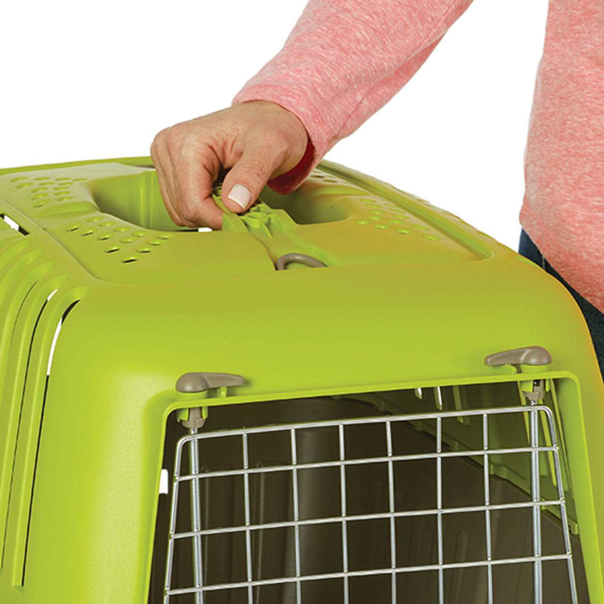 Plastic Pet Carrier N958316