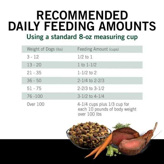 High Protein Dry Dog Food S368949