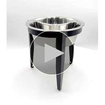 Elevated Single Diner for Dogs P57175