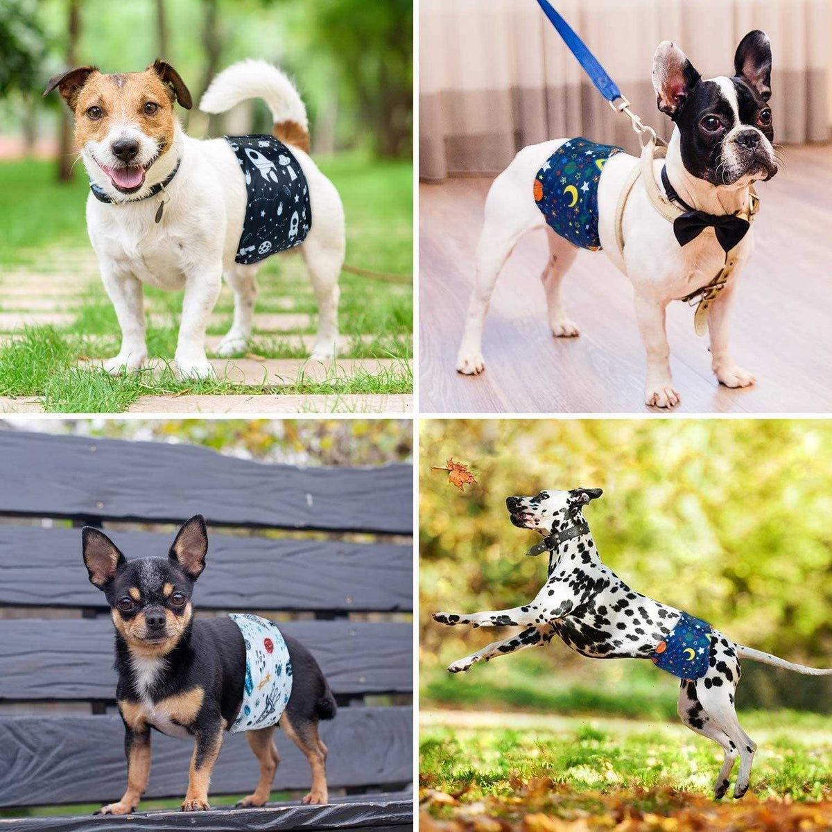 Washable Dog Diapers Male Dog Belly Bands X4858