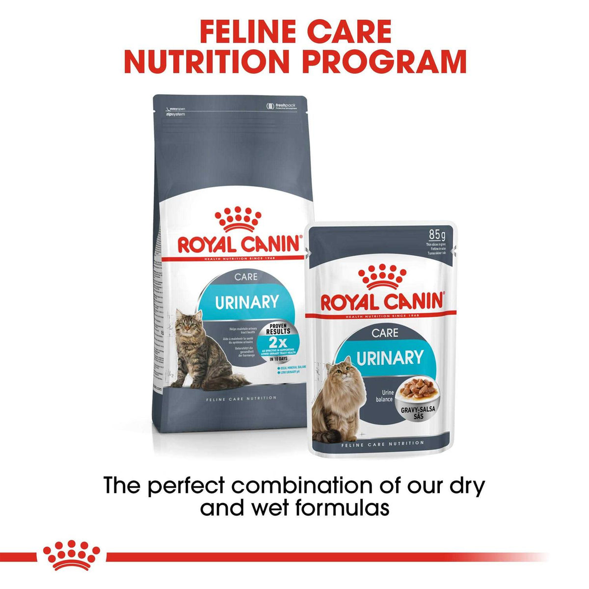 Wet Cat Food A56664