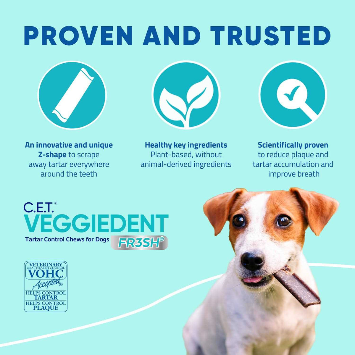 VeggieDent Tartar Control Chews for Dogs Y77385
