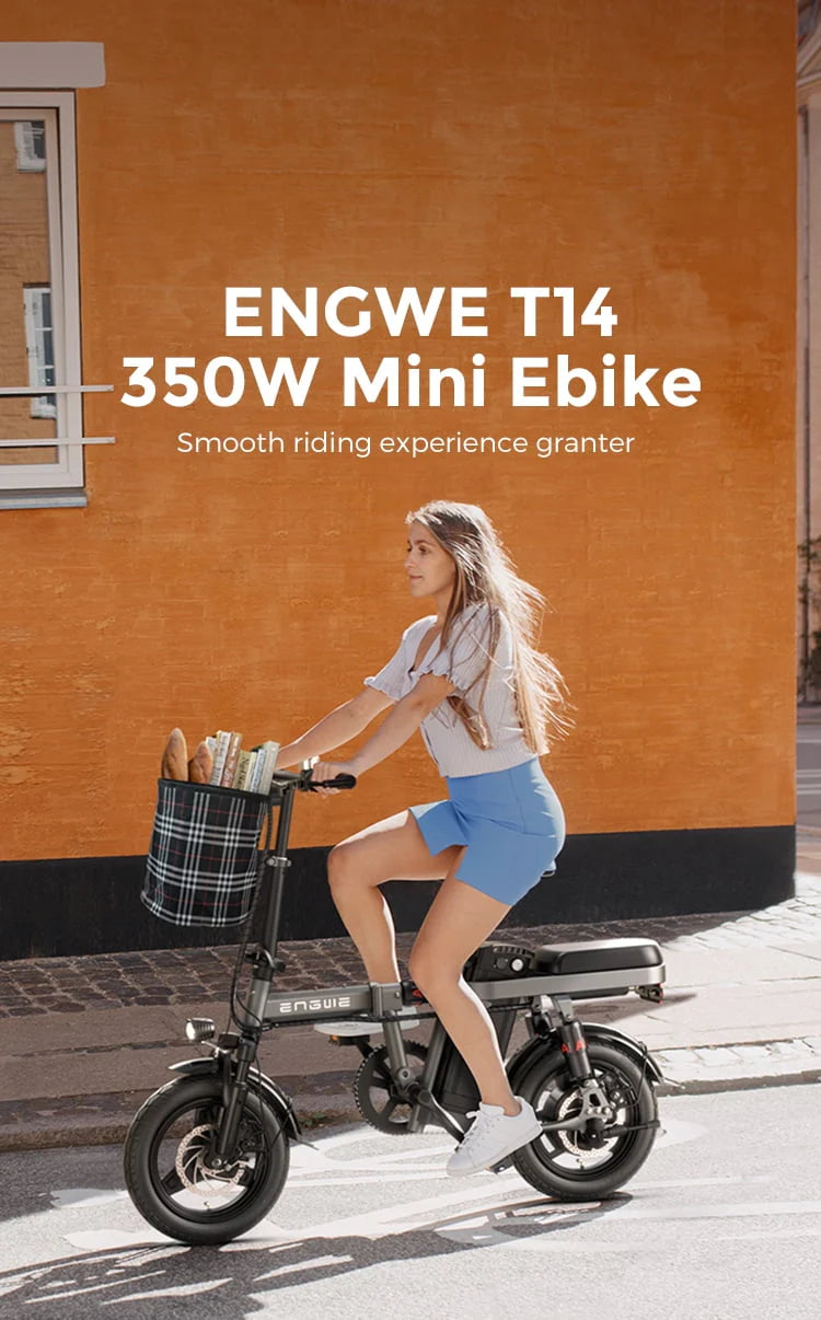 Folding Electric Bike 350W 48V 10AH Grey Y51929