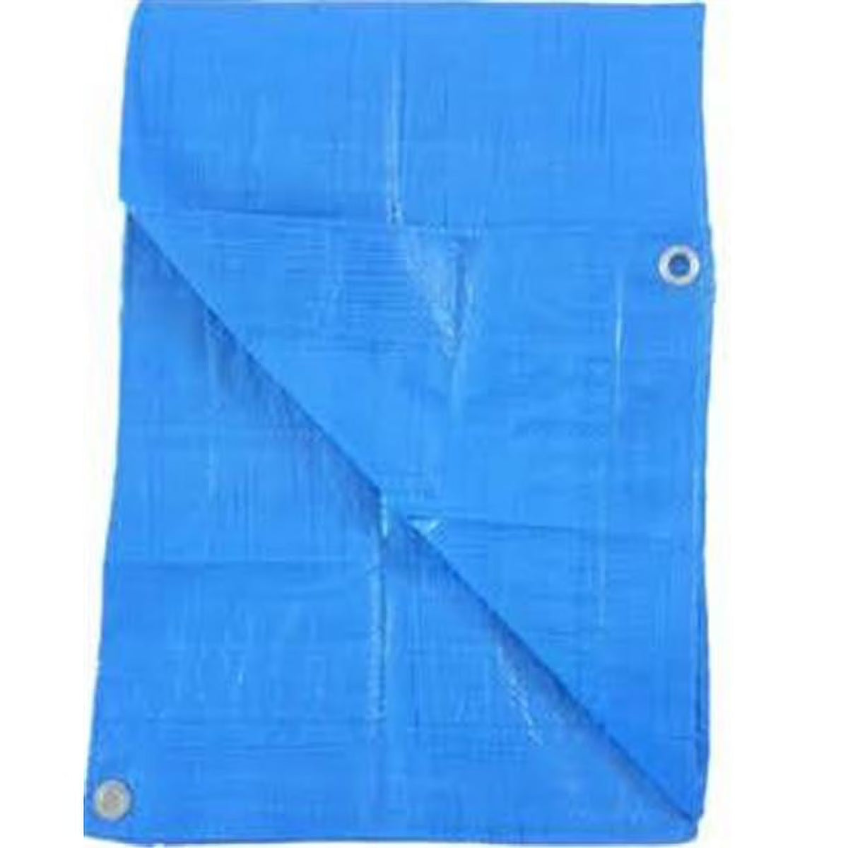 6 x 8 ft. Blue Poly Tarp J36219