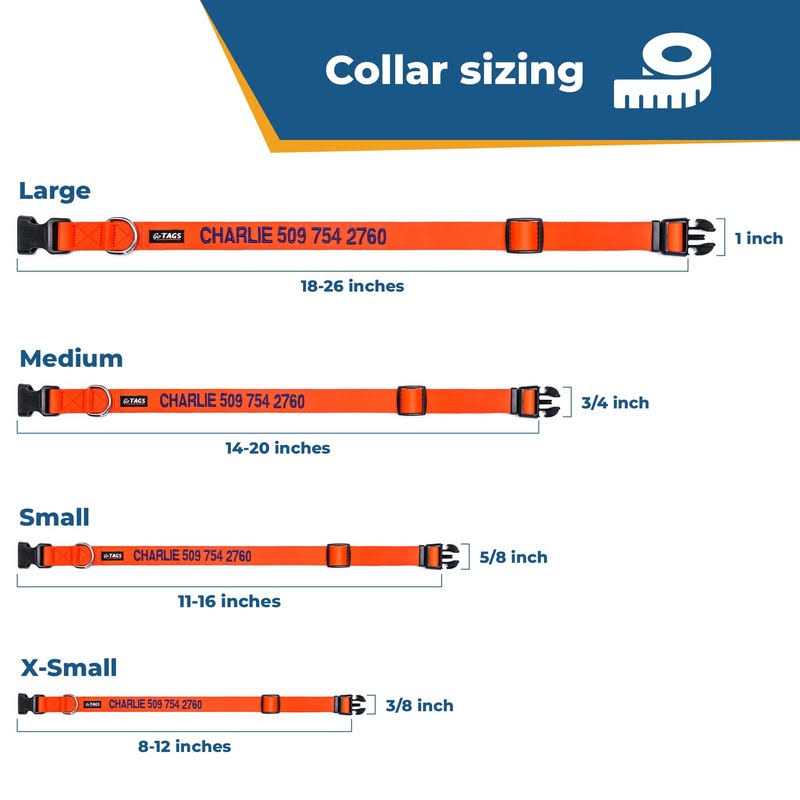 Personalized Dog Collar I348